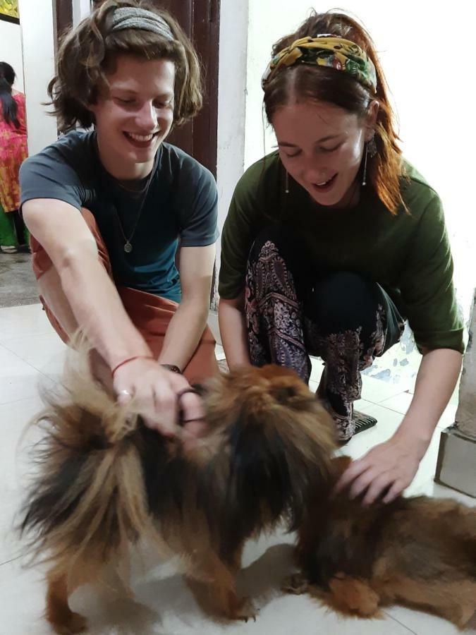 אמריצר Sukhmani Home Stay מראה חיצוני תמונה